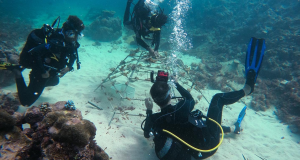 BLUER Ocean Project 2023