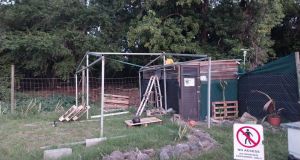 Project Bees is a initiative dedicated to safeguarding the bee population in Mauritius.