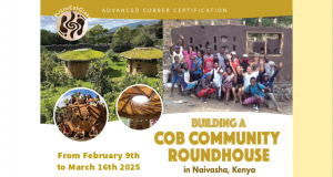 Advanced Cob Building Workshop