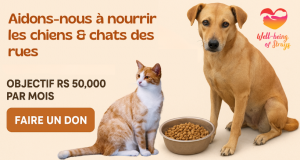 Donnez-leur une chance : offrons de la nourriture aux chiens/chats.