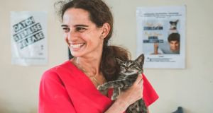 Raising Funds for Sterilisation Campaigns