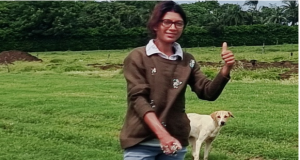 Stray dogs in distress