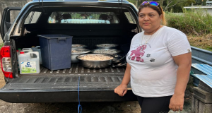 Building a shelter for our strays